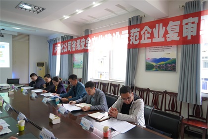 壹号娱乐安全文化示范企业复评验收 (5).JPG