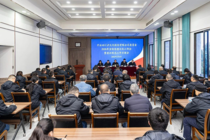壹号娱乐股份公司党委召开2026年宣传思想文化工作会暨意识形态工作专题会