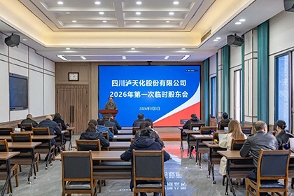 壹号娱乐股份公司召开2026年第一次临时股东会