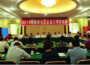 西南化工企业工作交流会在壹号娱乐召开