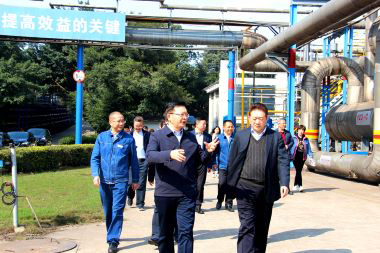 泸州市委副书记市长杨林兴率队到壹号娱乐调研