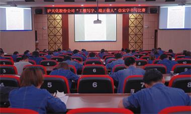 壹号娱乐股份公司团委举行仿宋字书写比赛