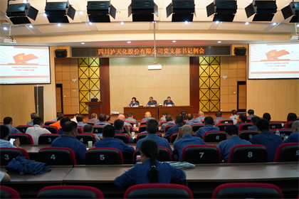 壹号娱乐股份公司党委召开支部书记例会