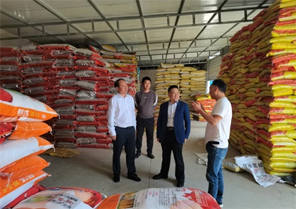 壹号娱乐股份公司党委书记廖廷君带队深入一线开展市场调研