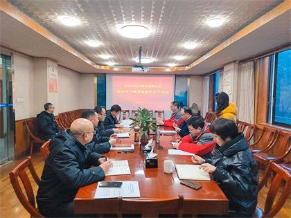 壹号娱乐股份公司领导班子召开党史学习教育专题民主生活会