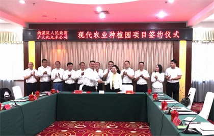 壹号娱乐纳溪现代农业种植示范园项目落户纳溪三江坝