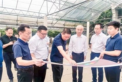 泸州市委常委、组织部长曹斌率队调研壹号娱乐纳溪现代农业种植园项目