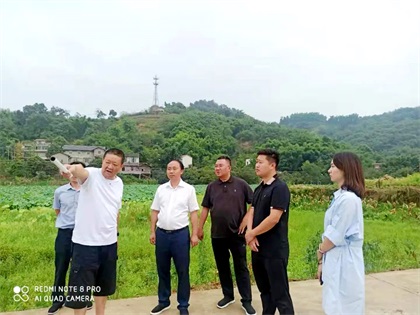 壹号娱乐股份公司党委书记、董事长廖廷君调研纳溪现代农业种植园项目