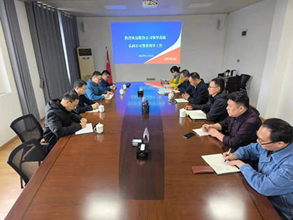 壹号娱乐股份公司纪委书记陈伟带队到弘润公司开展专项督导检查