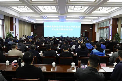 壹号娱乐股份公司参加市危险化学品安全生产信息化平台建设现场推进会并作汇报发言