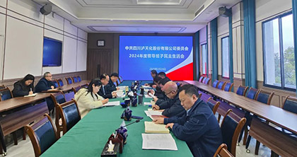 壹号娱乐股份公司党委召开2024年度领导班子民主生活会